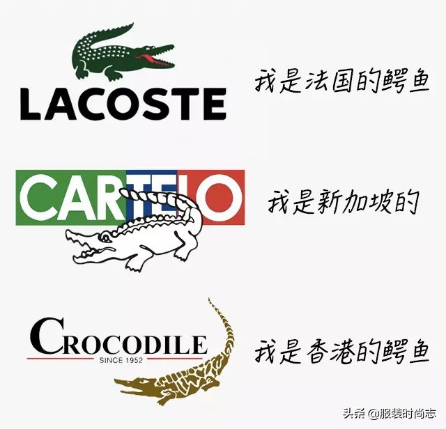 鳄鱼polo衫lacoste穿搭,鳄鱼lacoste搭配