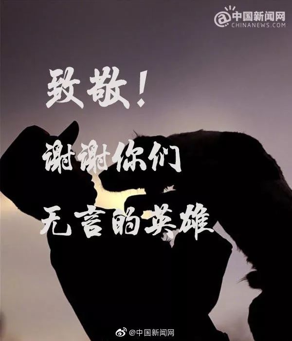 汶川地震狗救了32条人命,汶川地震狗狗救人21人