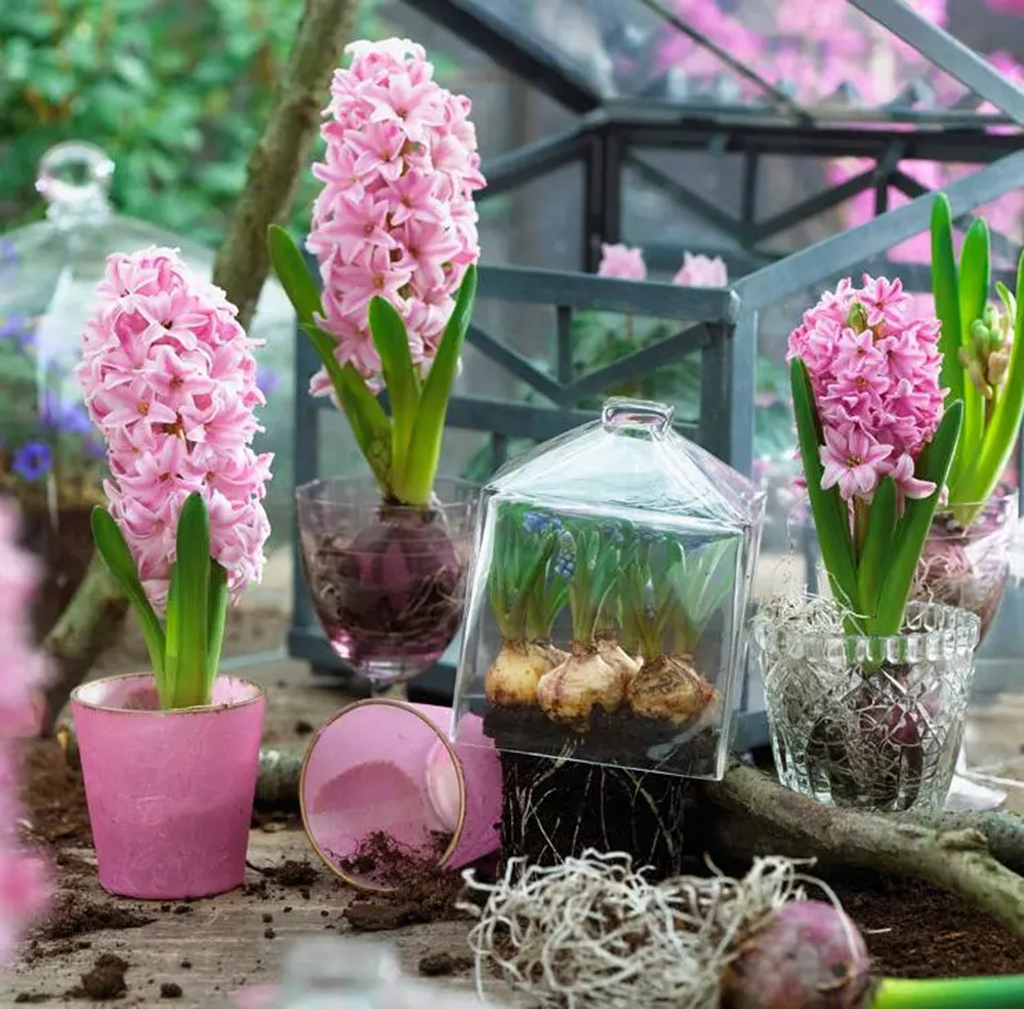 客厅卧室持久留香的香水,家里适合放什么香水