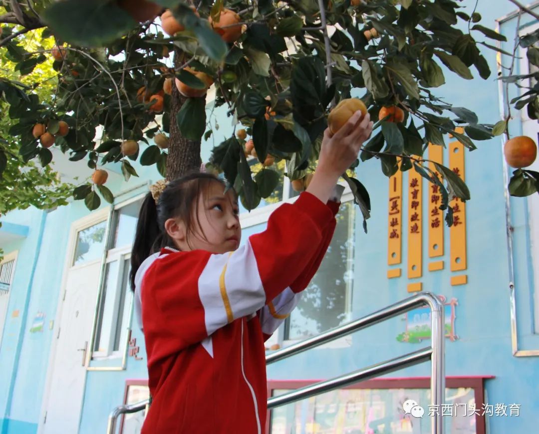 北京所有小学排名一览表,北京30所小学排名一览表