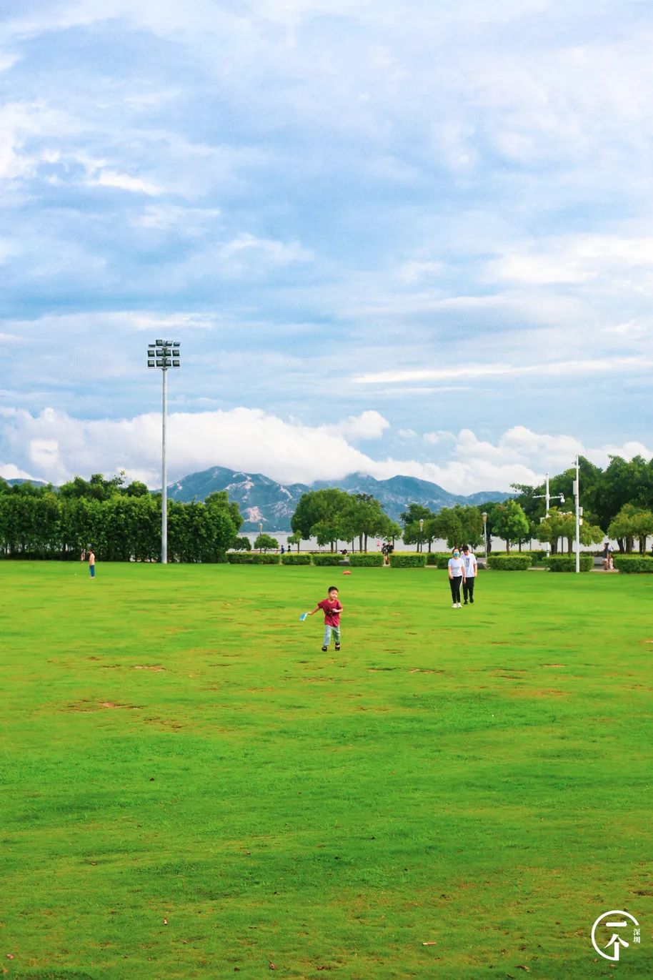 测评深圳湾,我直接被房租劝退