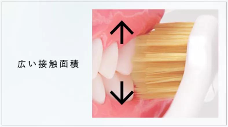 124年,祖孙三代人,死磕一把牙刷,年售6000万支