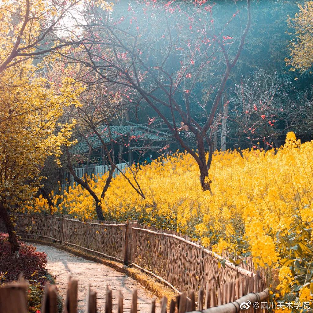 九大美院校园风景,中国九大美院校园风采