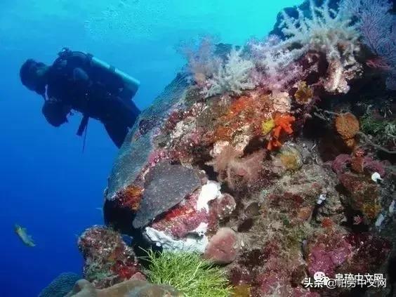 帕劳是哪个国家,帕劳群岛是哪个国家