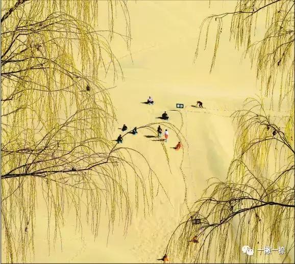 什么样的照片可以放到屏幕上,什么样的照片容易获奖