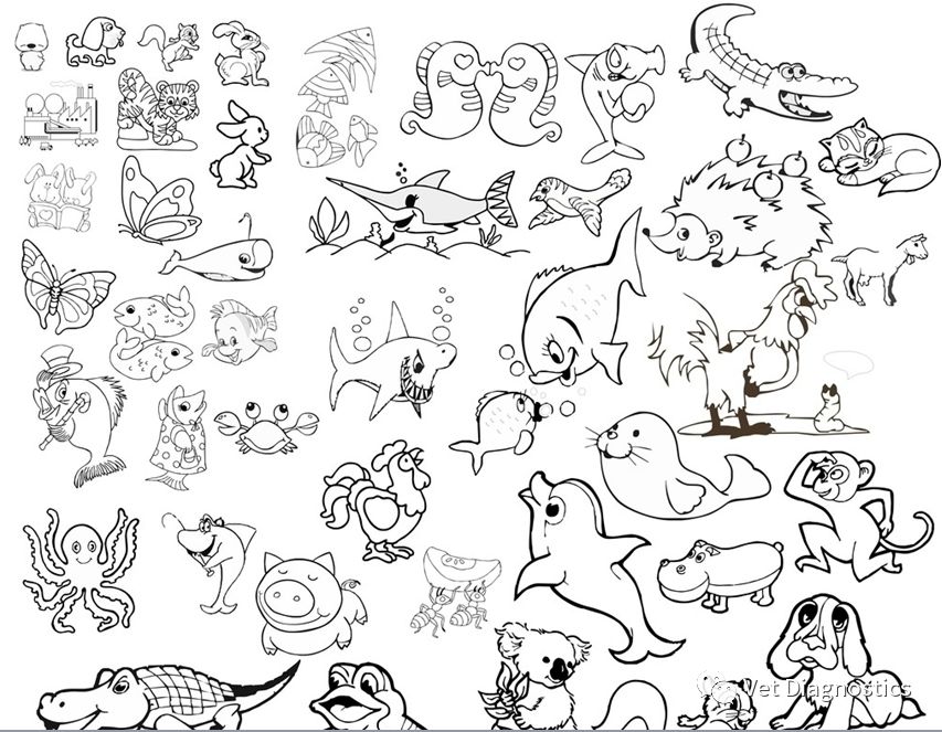 动物诊断试剂市场发展,中国动物保健市场规模