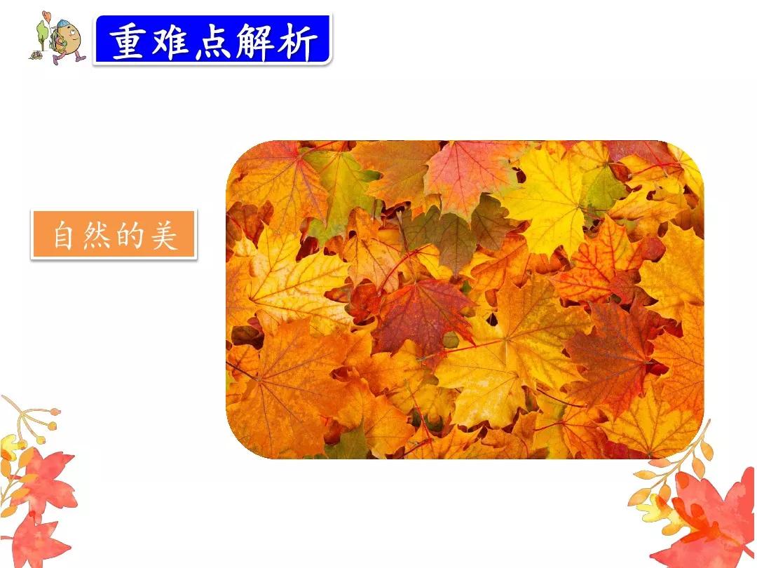 小学部编版三年级上册语文5课,三年级上册语文第5课水泥道朗读