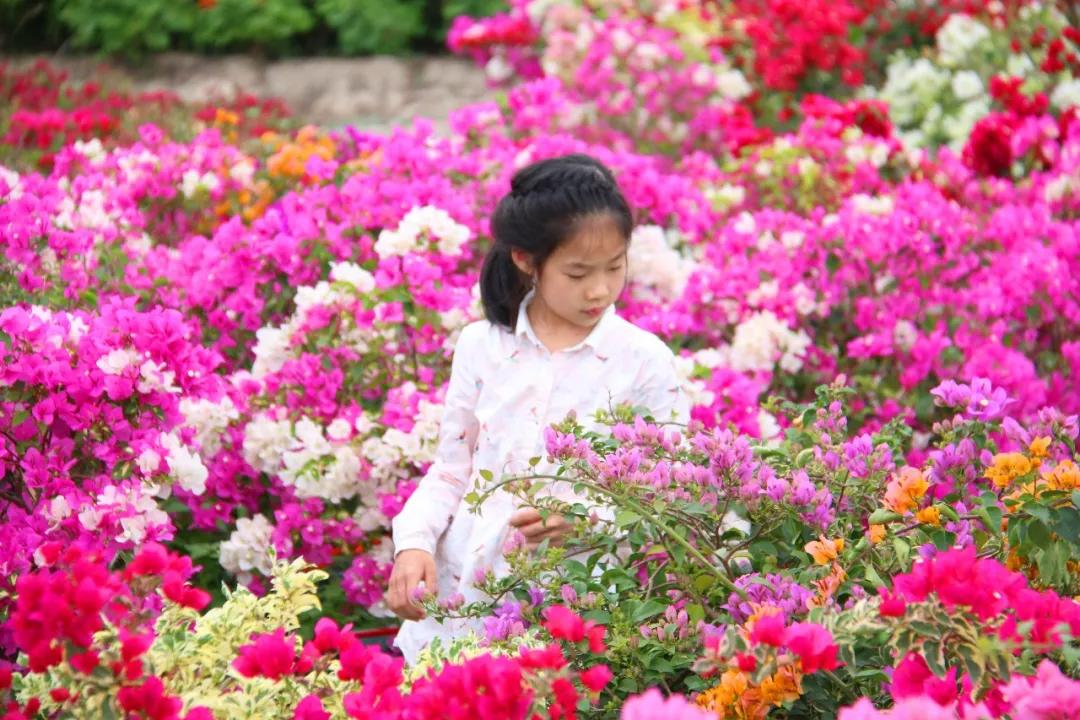 晚上的海棠湾,海棠湾真的很美