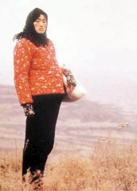 女明星扮丑好不好,女明星扮丑谁最丑