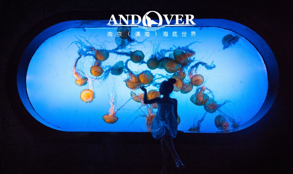 南京海底世界小朋友要票吗,南京海底世界99元一大一小套票