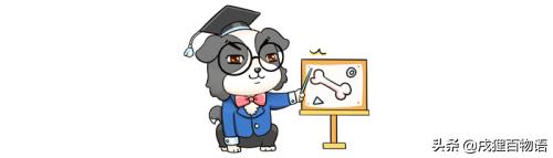 不同品牌的疫苗可以混打么,犬疫苗不同品牌可以混打吗