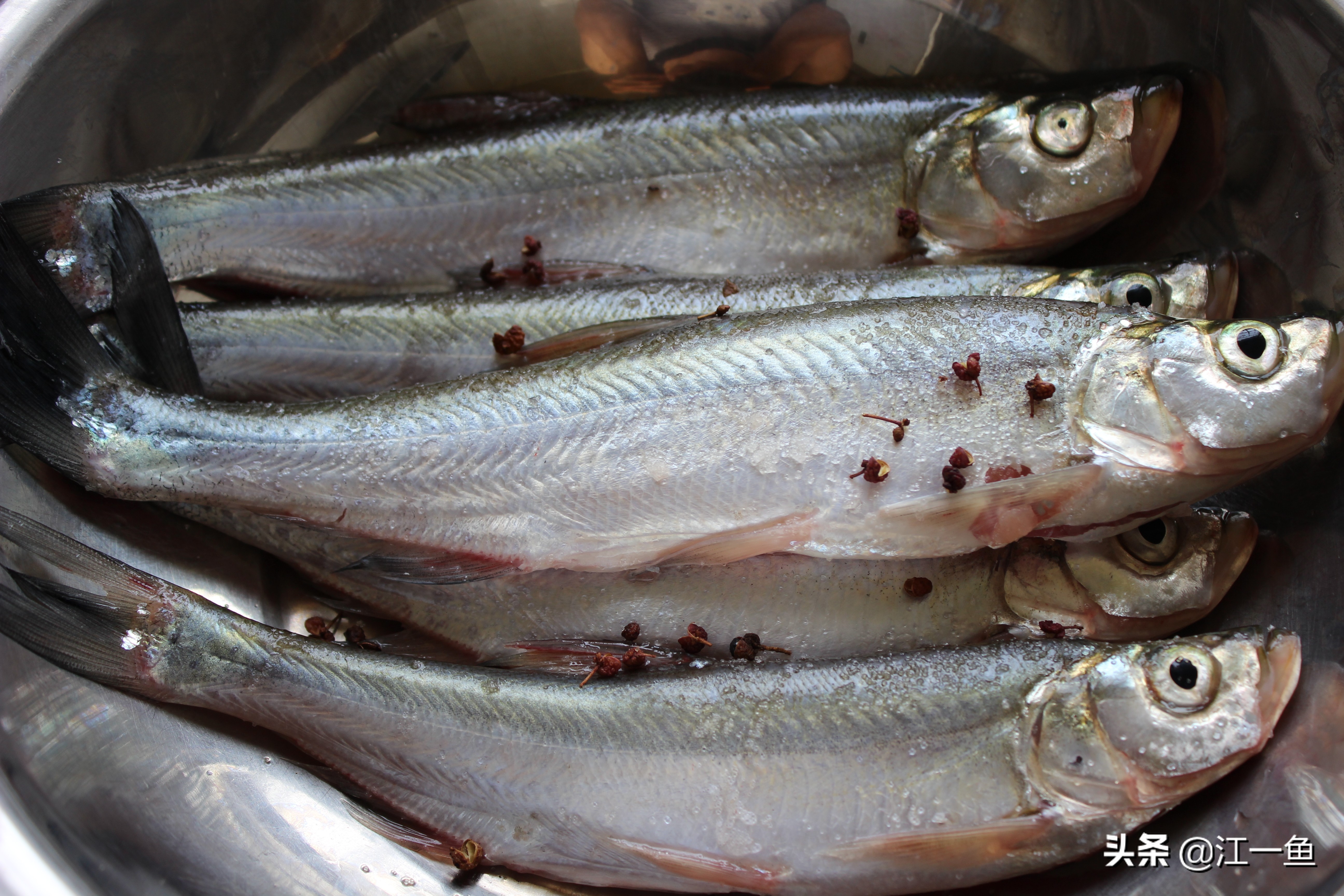 教你煎鱼技巧不掉皮又香酥,煎花鲢怎么不粘锅不掉皮