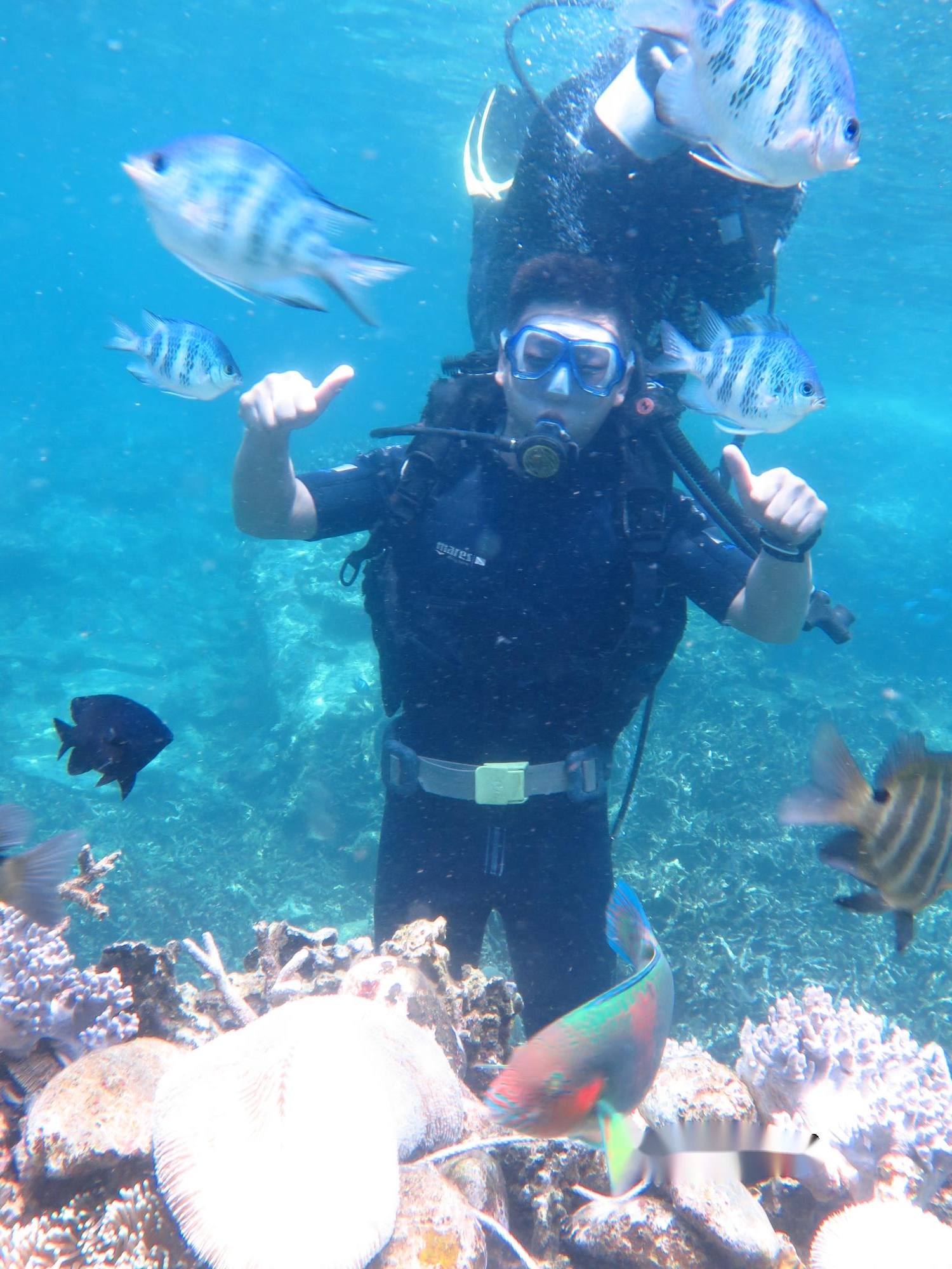 越南芽庄旅行日记第三天,芽庄旅行记全集