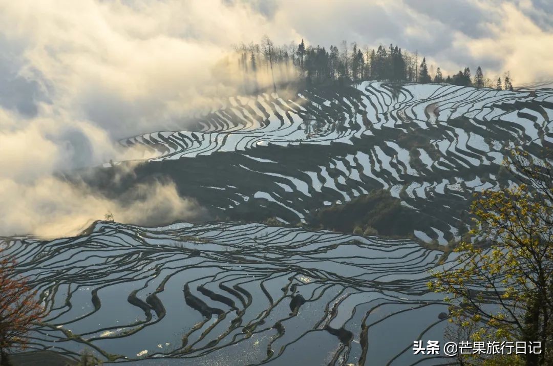 元阳梯田怎么去西双版纳,元阳哪个梯田最值得去