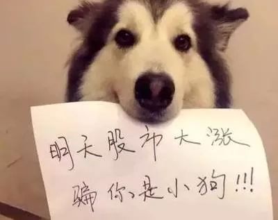 a股股民心声,a股股民翻译