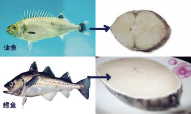 视界网带你深度解析,视界网知识大全