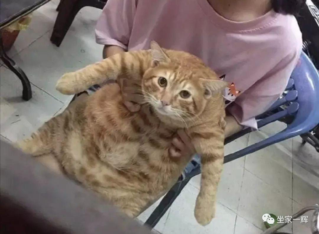 常见的20种网赚骗术揭秘,韭菜有效套路