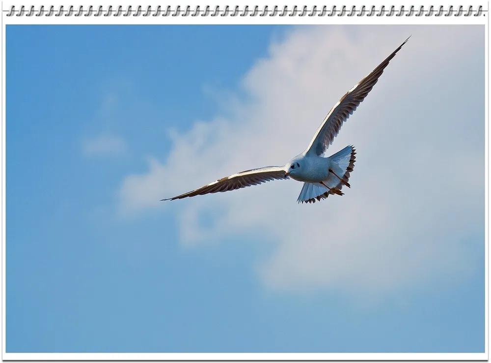 股票入门之零基础学炒股,炒股常识100个技巧