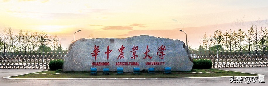 张学振，山东临沂人，华中农业大学教授、博导，渔业专家