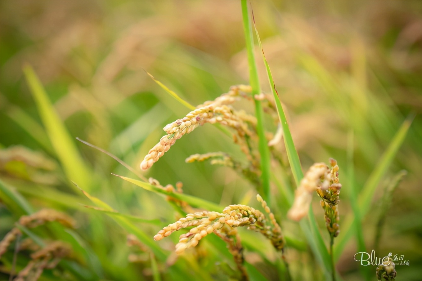 从漠河自驾到抚远镇,漠河至丹东自驾g331攻略