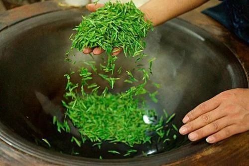 六大茶系各自口感特点,六大茶系分别适合什么茶具