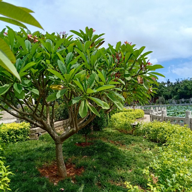 空手套白狼的创业点子美容,创业案例逆向思维空手套白狼