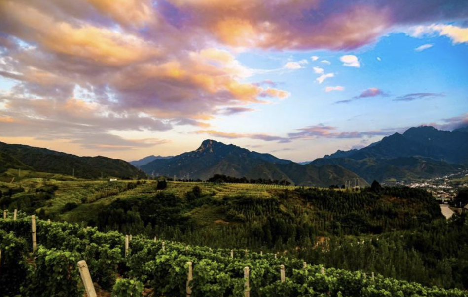 西安世外桃源免费景点,西安隐藏在大山里的世外桃源