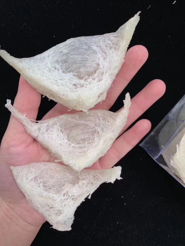 燕窝专业知识之燕窝的商品规格,燕窝知识分享天天吃燕窝真的好吗