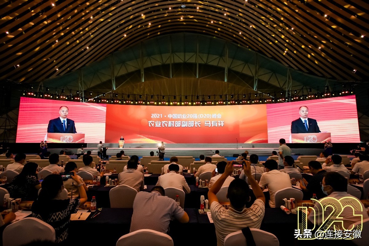 2022中国奶业d20峰会,d20奶业峰会
