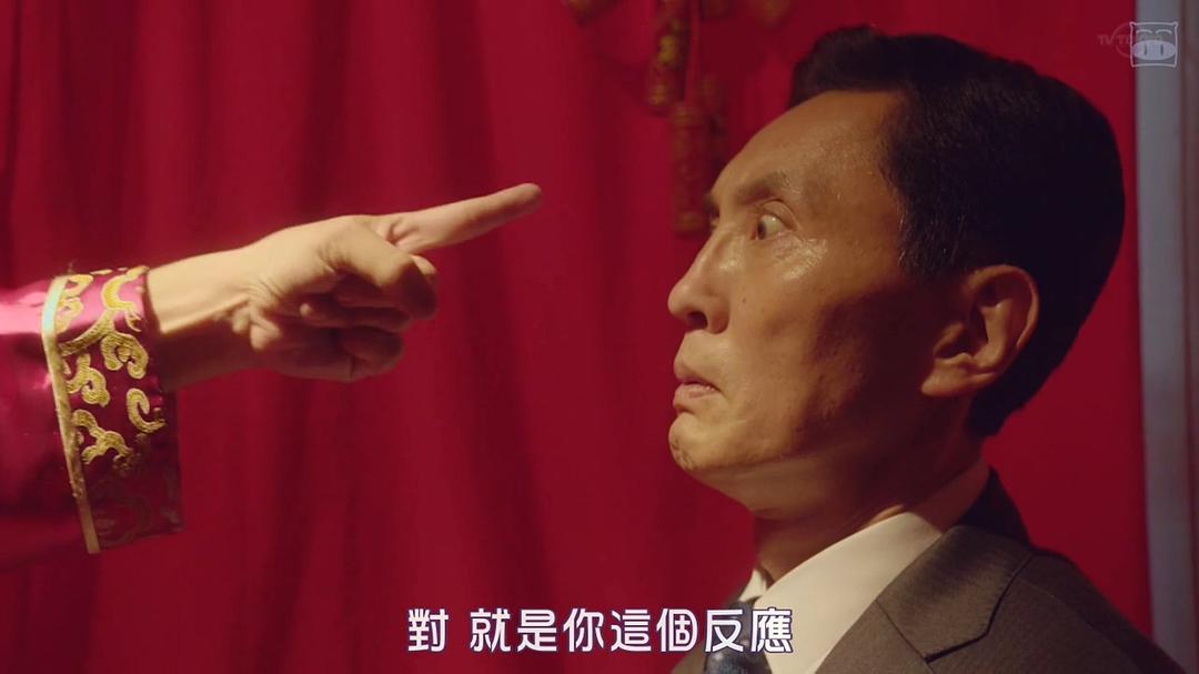 那个孤独的美食家，改行做了猫界家政妇。