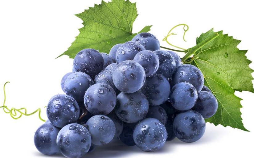 狗狗拉黄色稀屎怎么治疗,狗狗拉糊状屎怎么回事