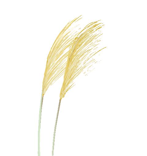 jk制服二次元图,jk制服的市场劣势