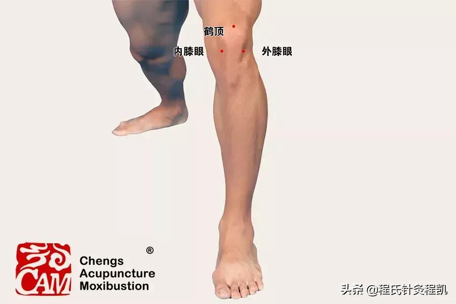 中老年膝盖疼痛怎么养护,中老年膝盖疼的最好治疗方法