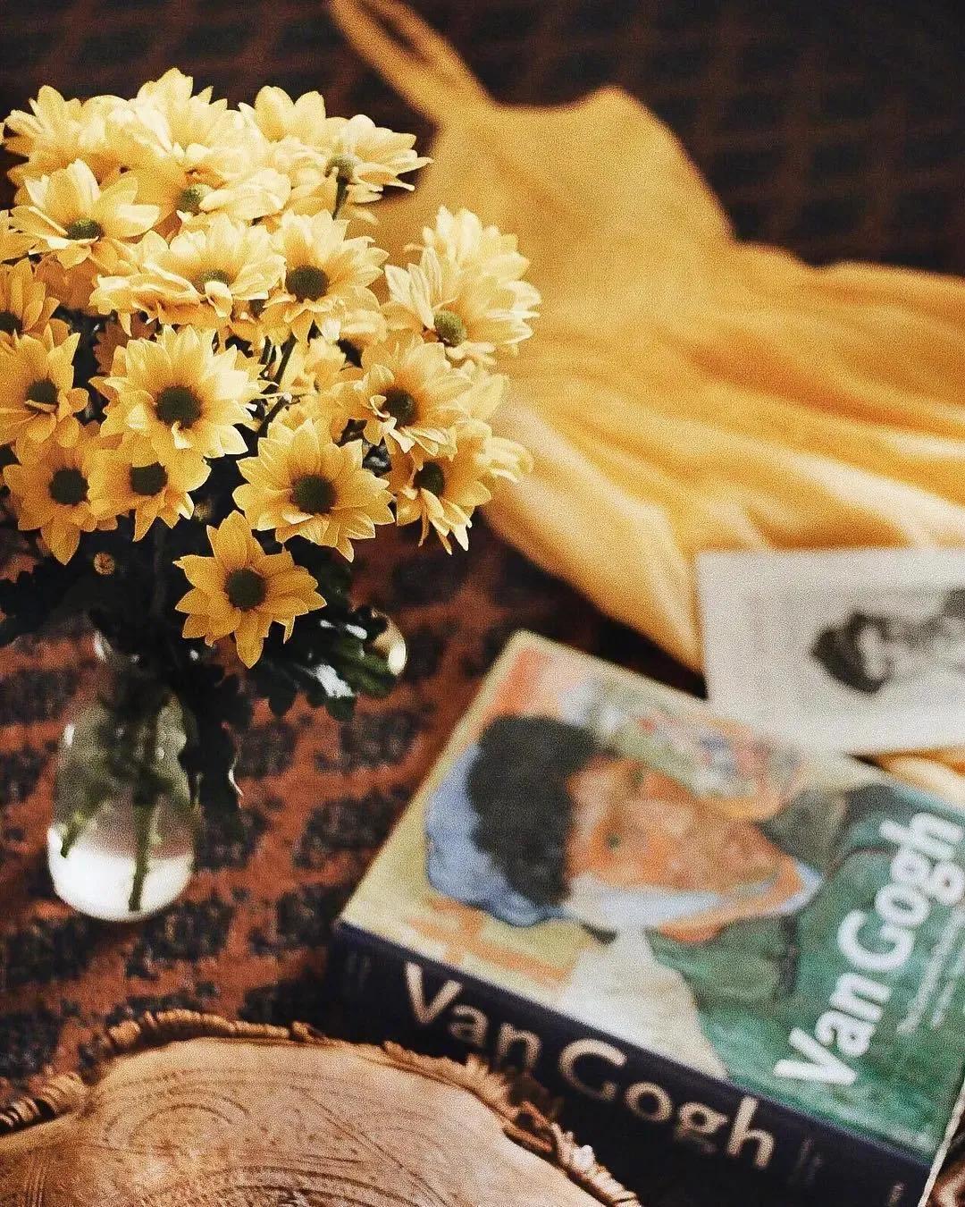 四年级我得到了什么的作文,四年级上册我得到了什么300字