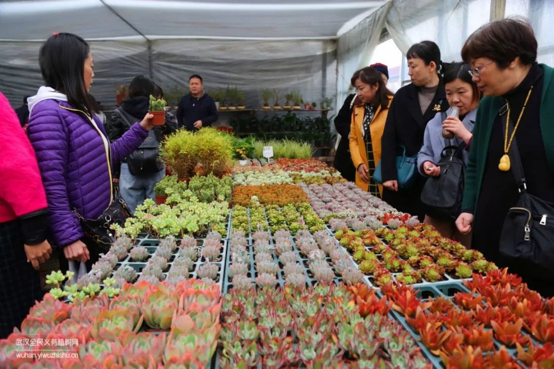 园艺沙龙|前方高能！一大波人相约逛花市，究竟淘了些啥？