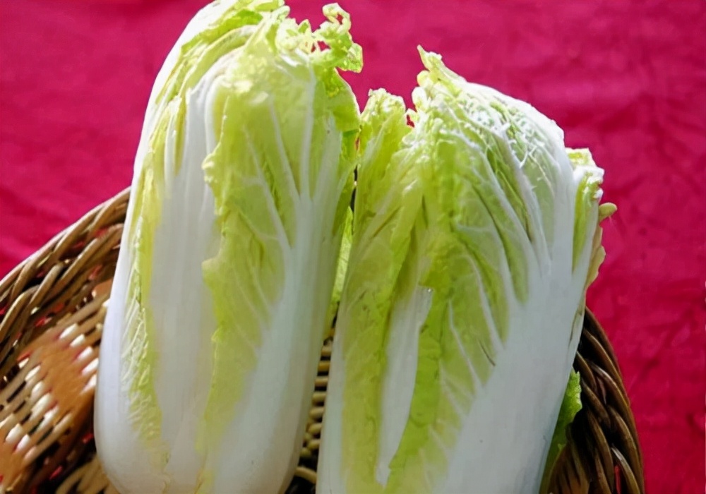 狗耳螨怎么治疗？耳螨会严重到危害狗狗的听力吗？应该怎样处理？