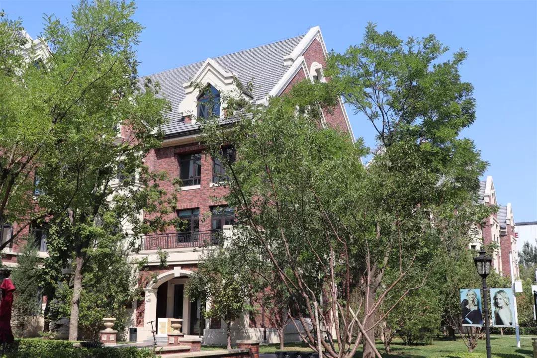 解密神奇魔力：奕齐文旅学习考察团畅游特效基地