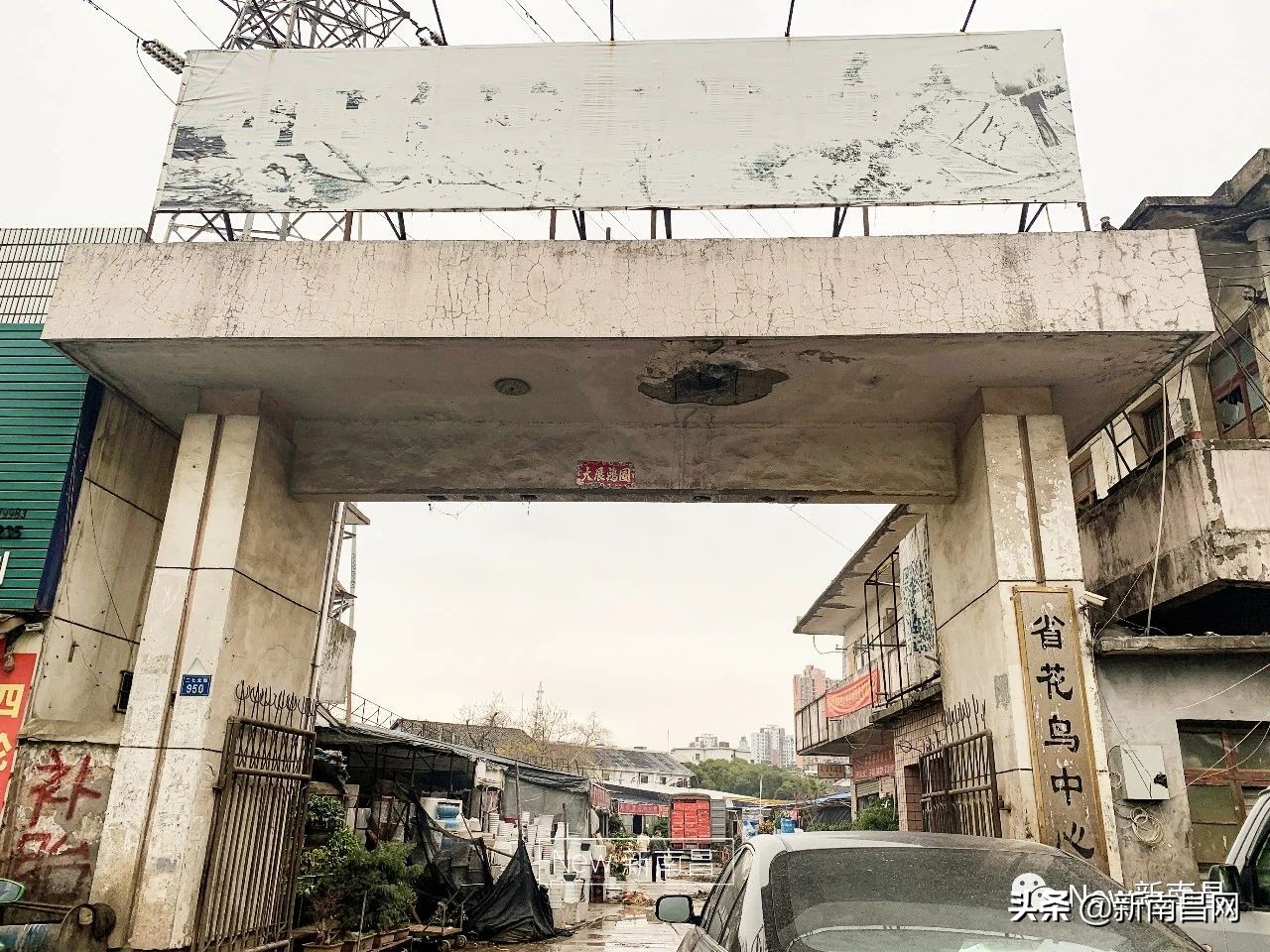 南昌花市有哪些地方,南昌花市批发市场