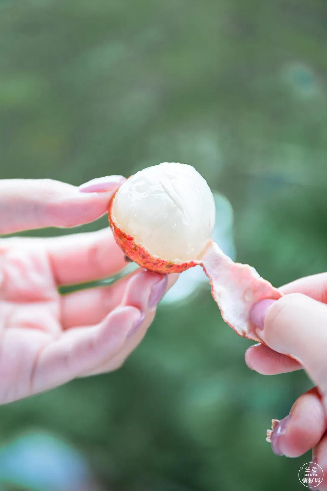 手机买菜平台有哪些,深圳人在哪个app上买菜