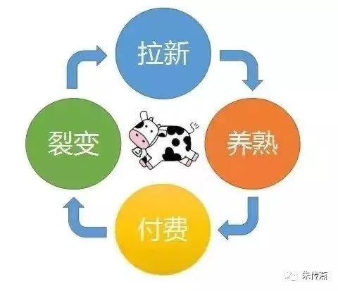 朱传燕美容院拓客视频,朱传燕美容院