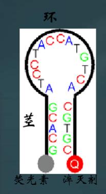 核酸检测pcr的方法,pcr核酸检测技术结果分析