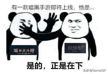 鍥藉垱鍏蜂綋鍐呭,鍥藉垱鏆楅粦鎵嬫父