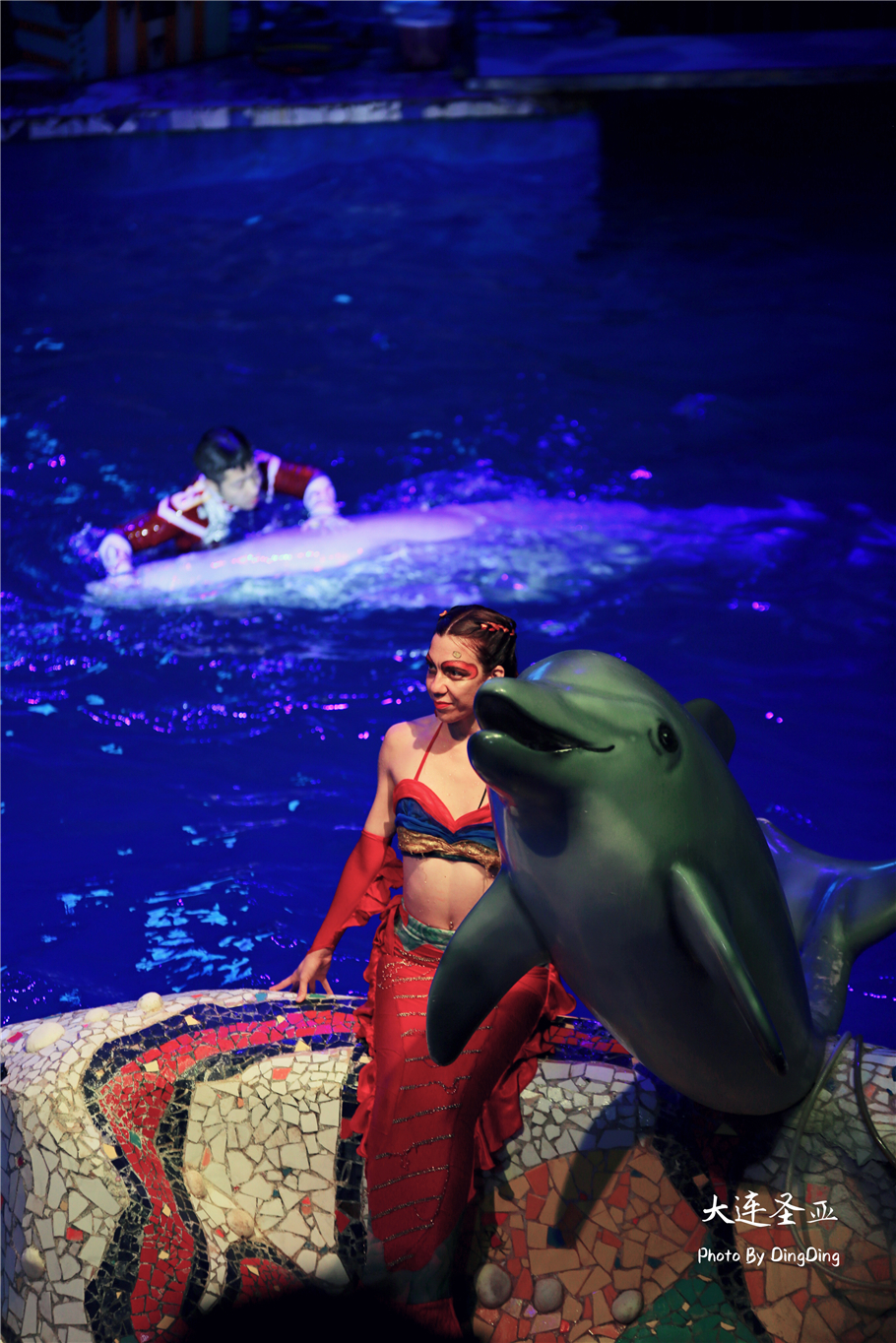 北方明珠活力四射的浪漫之都大连，国内最具特色的海洋世界圣亚