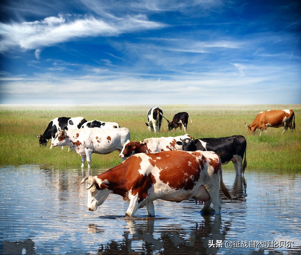 我来到你的城市走过你熟悉的街,我来到你的城市走过你走的路