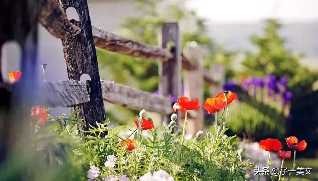 触动心弦的唯美早安心语配图,励志早安心语正能量简短触动心弦