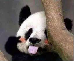 22岁护肤品推荐补水抗老,22岁油痘肌初抗老护肤品推荐