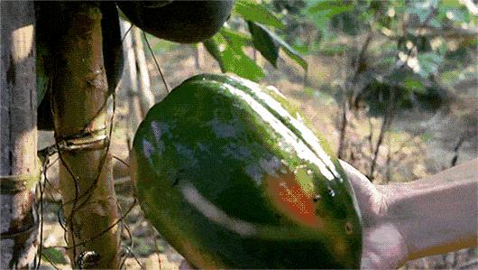 蔡依林护肤视频,蔡依林皮肤特护霜