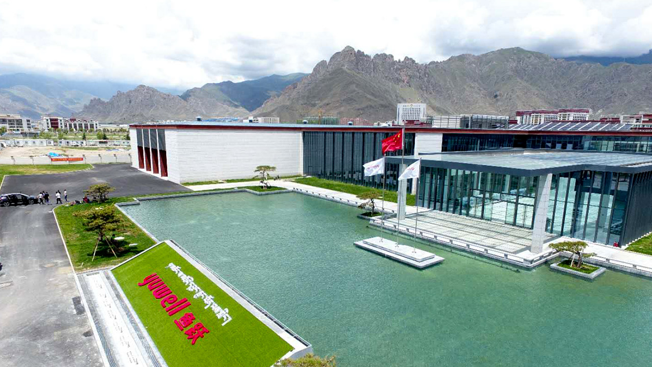 缓解高原缺氧最好的方法,高原发生缺氧的应急措施