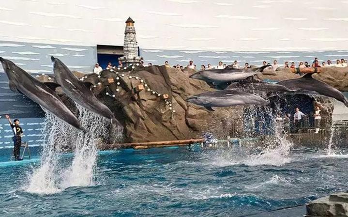 大连行程攻略,大连旅行攻略详细路线推荐图