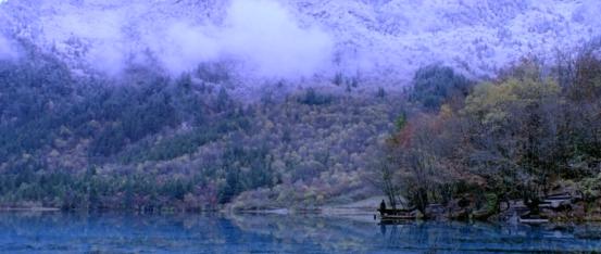 张艺谋唯一一个没有差评的电影,开启中国大片时代的电影张艺谋